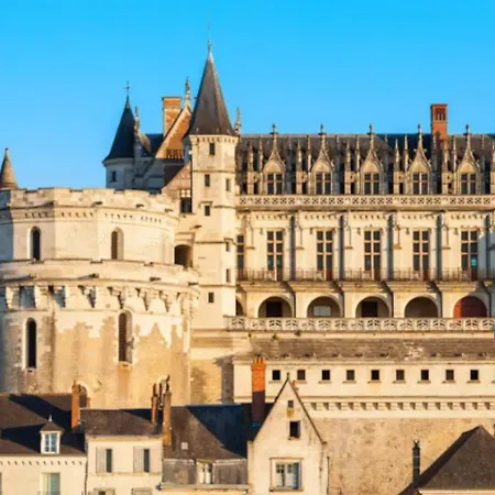 Da Vinci - Charmant Et Relax Amboise Buitenkant foto