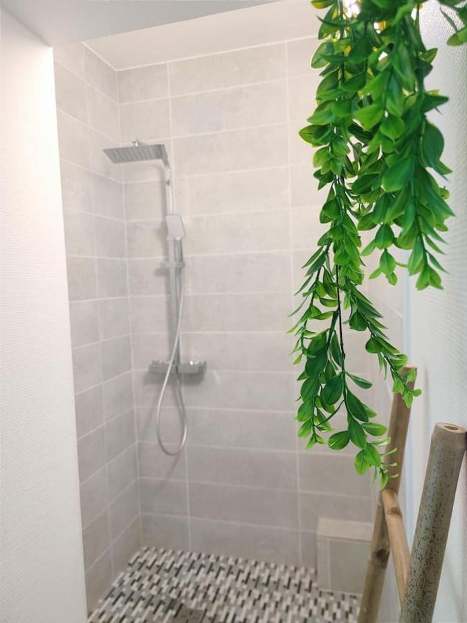 Apartment Da Vinci - Et Relax Amboise